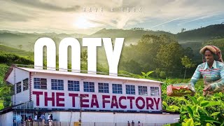 The Tea Factory, OOTY | Making Process of Tea Powder in Factory| @Havealook-gu9fc #ooty #havealook