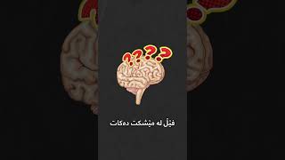 بۆچی دوای جوینی بنێشتی نەعناع و خواردنەوەی ئاو هەست بە ساردی دەکەیت؟ 🥶