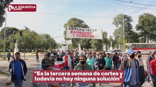 Autoconvocados del citrus: "Queremos el Gobierno nos reciba y nos de una solución"