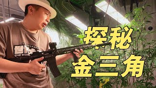 “大.麻合法化”2年后，金三角现在什么样？| 南洋大宝荐·泰国01【食贫道】