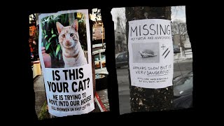 SILLY SIGNS - Funny Lost and Found Pet Signs