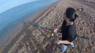 Mackerel Mayhem Montage - Mackerel Fishing At Chesil Beach