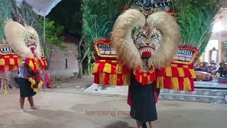 SOLAH DADAK MERAK KULON KALI PEMBARONG ADU KEKUATAN KREBET JAMBON#reogponorogo #dadakmerak #reog