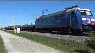 Auch am Vormittag ist Einiges los auf der SFS und NGS bei Haspelmoor  -  AL  # 226/004/024