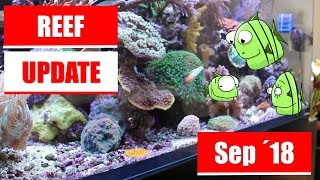 Reef Update September 2018 - Red Sea Reefer 525 XL