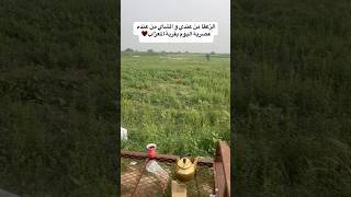 مع إني ما أعرفه و عجبتني جلسته العصرية و دعاني للشاي معه الله يجزاه خير قرية المعزاب عصر اليوم .