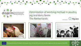 Optimization of working method in poultry, pig and dairy farms