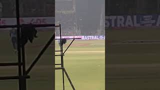 Virat Kohli cover drive #viralshorts #viratkohli #indvsnz #indvssl #rcb #virat #indiavsnewzealand