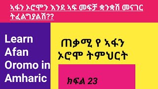 አፋን ኦሮሞን በ አማረኛ ክፍል_23 #learn_afan_oromo_in_amharic #afan_oromo #new_oromo_music #kemo_tube