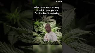 When your on your way to talk to your plants for the third time because you have up on humanity!