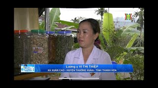 LƯƠNG Y VI THỊ THIỆP- NGƯỜI THẦY THUỐC CỦA NHÂN DÂN / HANOITV/HANOI