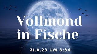 Vollmond in Fische ~ Göttliche Ordnung