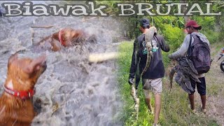 Berburu Biawak ‼️  Pertarungan sengit di air sungai kecil