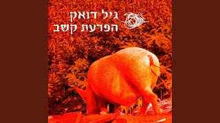 לעולם בעקבות השמש