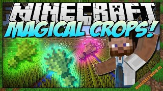 Magical Crops Mod 1.12.2 - Minecraft Mods for PC