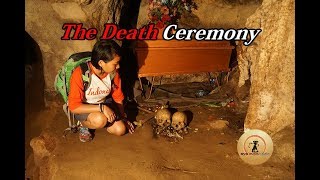 I'm So Lucky to See The Death Ceremony in Toraja (part 1)