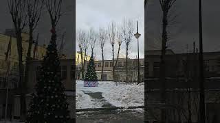 Солнце в Москве большая редкость)25.12.23