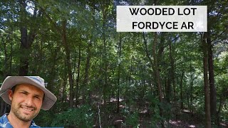 Wooded Lot in Fordyce AR