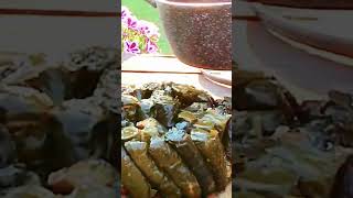 Stuffed rice with olive oil in grape leaves