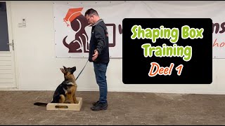 Shaping Box training deel 1 - Leer je hond de perfecte hier, zit, sta, af, voet en meer :-)