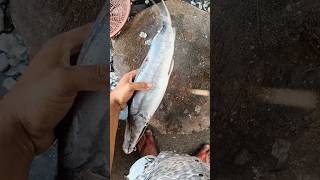 Big Ayer Fish Cutting Sklls Live & in dawdi Mahesh machi shop#fish#fishing #short #shorts #share