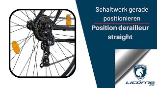 Licorne Bike Schaltwerk gerade positionieren (Licorne Bike Position derailleur straight)