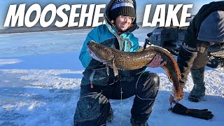 Catching My All Time BIGGEST Fish on Moosehead Lake // Winter Ice Shack Camping WITH MY DOG