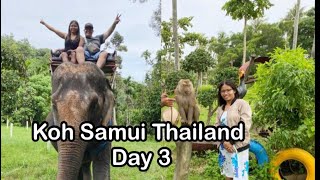 Koh Samui Island Day 3 Monkeys,Elephants & Waterfalls @nevertooldtotravel8034