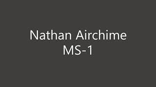 Nathan Airchime MS-1