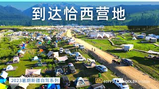 慢节奏自驾新疆 到达伊犁恰西森林公园露营基地 密密麻麻的帐篷