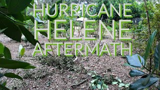 Aftermath of Hurricane Helene