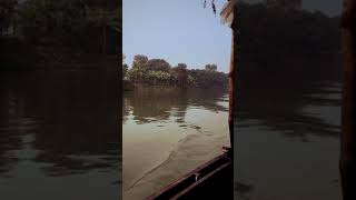 বাংলার সৌন্দর্য | Ganga river in West Bengal