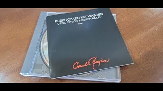 Cecil Taylor & Drek Bailey/ Pleistozaen Mit Wasser First Part Acoustic Guitar