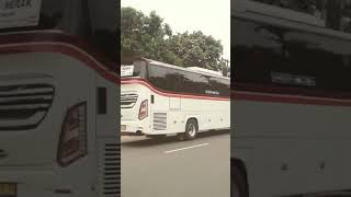 Bis PRIMAJASA avante H7 tujuan Merak - Bekasi #bismaniacommunity #videoshort