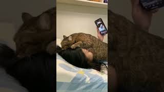 AKU DAN BABU #shortvideo #oyenlucu #cat