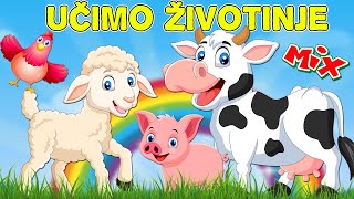 Učimo životinje - MIX odabranih pesmica za decu | Pesme o životinjama | Farma Miks | Kako kaže kuca