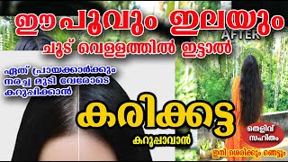 ചൂട് വെള്ളത്തിൽ ഈ പൂവും ഇലയും ഇട്ടു വെച്ചാൽ /മുടി കാരി പോലെ നിക്കും /poppy vlogs/malayalam