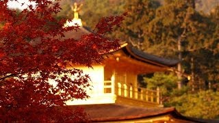 Kinkakuji temple in Kyoto,Japan Nov.2013