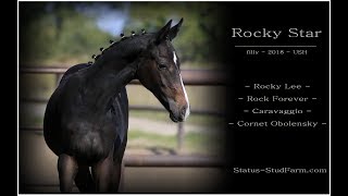 filly Rocky Star *2018 by Rocky Lee - Caravaggio - Cornet Obolensky