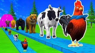 Paint & Animals Cow,Gorilla,Elephant,Lion,Tiger,Dinosaur, Fountain Crossing Transformation Cartoon