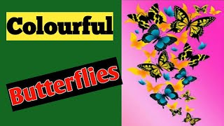 Colourful Butterflies | Butterflies | Butterfly || General World