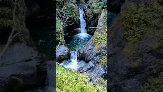 The hidden game of ghnp, sainjvalley.@Adventurelover0001 #ghnp #sainjvalley #waterfall #nature