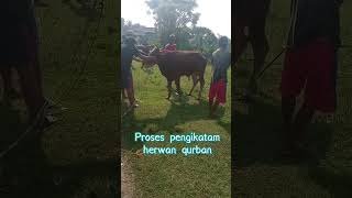 Selamat Hari Raya Idul Adha 1444 H #part3