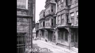 Bir İstanbul Vitrini-Haluk Şan Dikmen