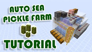 Automatic Sea Pickle Farm TUTORIAL | Minecraft 1.16