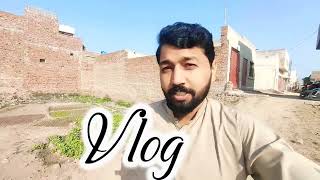 My First Vlog || Village vlogs|| vegetable 🥒🍆🥒 Growing #viral #vlogs