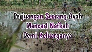 Kata-kata Bijak Perjuangan Seorang Ayah Mencari Nafkah Demi Keluarganya