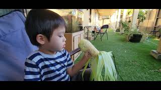 3-Year-Old First Time Husking Corn