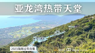 住在景区别墅享受VIP待遇 游览亚龙湾热带天堂森林公园vlog