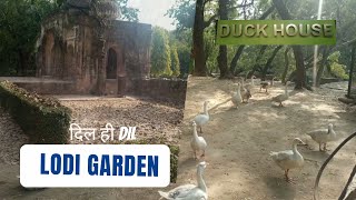 Lodhi Garden | Delhi Heritage | Duck House | दिल ही Dil